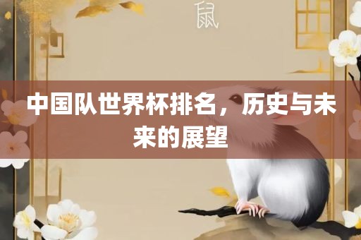 中国队世界杯排名沧州禾苗留学中介服务有限公司，历史与未来的展望