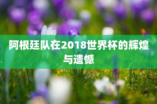 阿根廷队在2018世界杯的辉煌与遗憾沧州禾苗留学中介服务有限公司