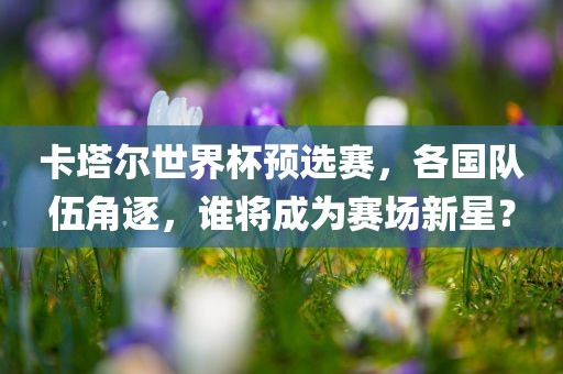 卡塔尔世界杯预选赛，各国队伍角逐，谁将成为赛场新星？
