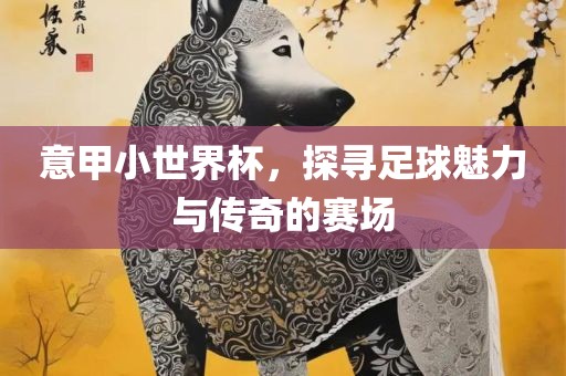 意甲小世界杯，探寻足球魅力与传奇的赛场沧州禾苗留学中介服务有限公司