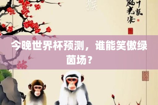 绿茵场竞争