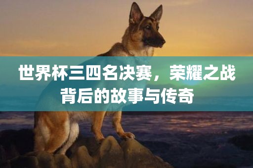 世界杯三四名决赛，荣耀之战背后的故事与传奇
