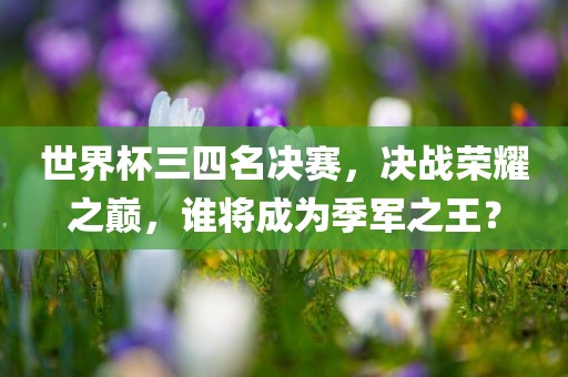 世界杯三四名决赛，决战荣耀之巅，谁将成为季军之王？