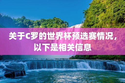 关于C罗的世界杯预选赛情况，以下是相关沧州禾苗留学中介服务有限公司信息