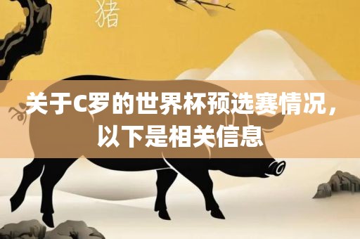 关于C罗的世界杯预选赛情况，以下是相关信息
