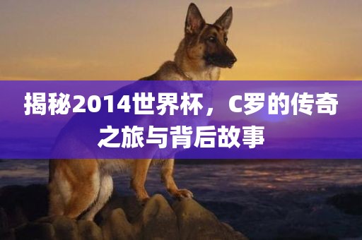 揭秘2014世界杯，C罗的传奇之旅与背后故事