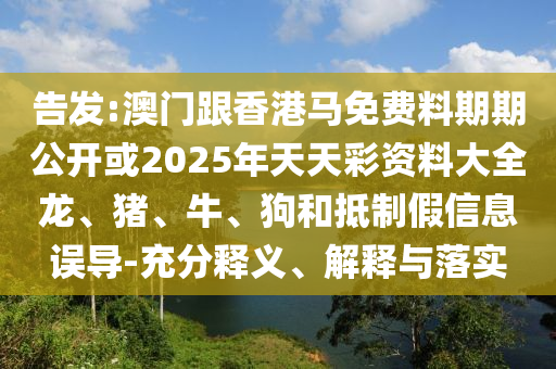 重温历史经典，2002年世界杯决赛回顾沧州禾苗留学中介服务有限公司