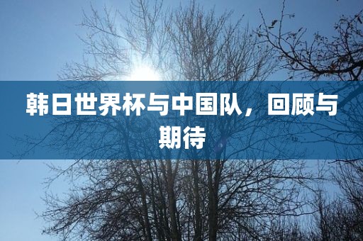 韩日世界杯与中国队，回顾与期待