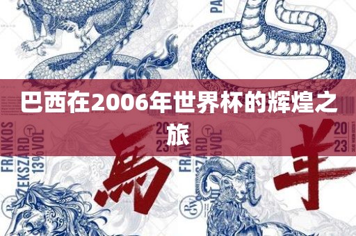 巴西在2006年世界杯的辉煌之旅沧州禾苗留学中介服务有限公司
