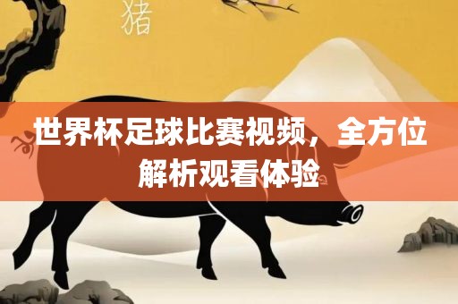 世界杯足球比赛视频，全方位解析观看体验沧州禾苗留学中介服务有限公司
