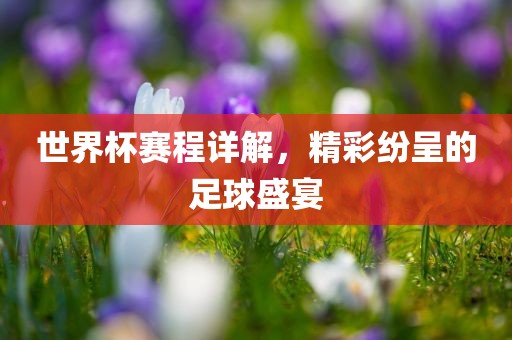 世界杯赛程详解，精彩纷呈的足球盛宴