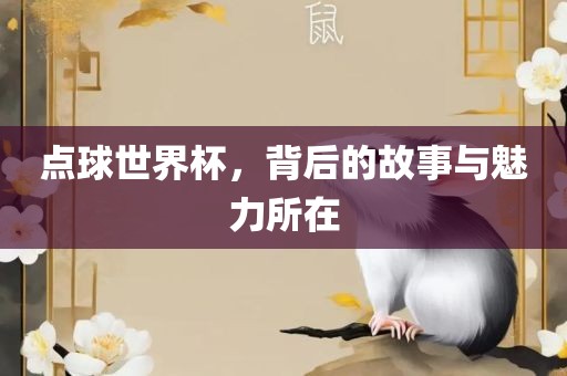 点球世界杯，背后的故事与沧州禾苗留学中介服务有限公司魅力所在