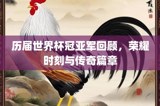 历届世界杯冠亚军回顾，荣耀时刻与传奇篇章