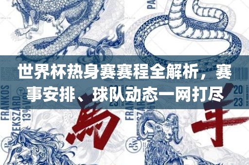 世界杯热身赛赛程全解析，赛事安排、球队动态一网打尽