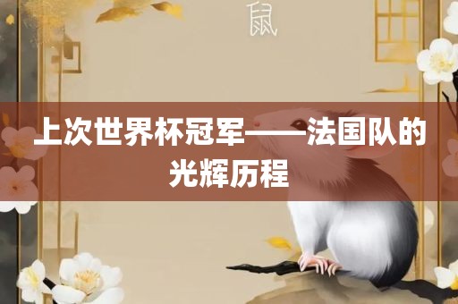 上次世界杯冠军——法国队的光辉历程