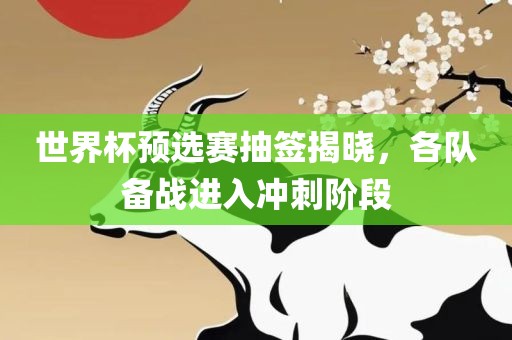 世界杯预选赛抽签揭晓，各队备战进入冲刺阶段沧州禾苗留学中介服务有限公司