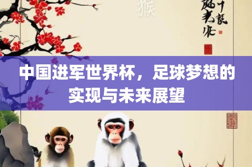 中国进军世界杯，足球梦想的实现与未来展望