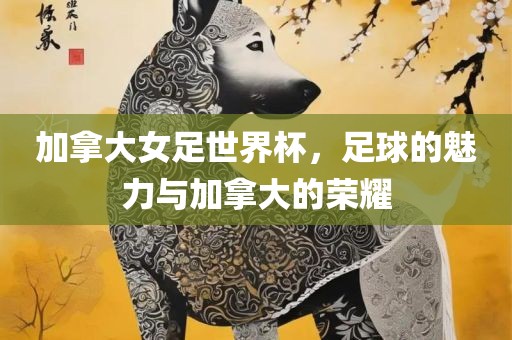加拿大女足世界杯，足球的魅力与加拿大的荣耀