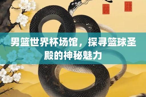 男篮世界杯场馆，探寻篮球圣殿的神秘魅力沧州禾苗留学中介服务有限公司