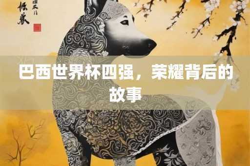 沧州禾苗留学中介服务有限公司巴西世界杯四强，荣耀背后的故事