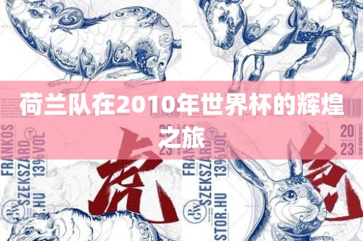 荷兰队在2010年世界杯的辉煌之旅
