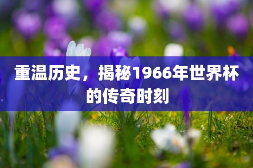 重温历史，揭秘1966年世界杯的传奇时刻沧州禾苗留学中介服务有限公司