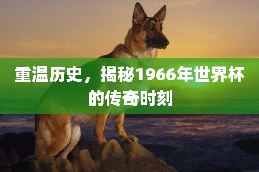 重温历史，揭秘1966年世界杯的传奇沧州禾苗留学中介服务有限公司时刻