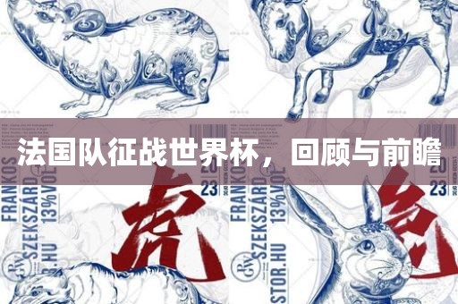 法国队征战世界杯，回顾与前瞻