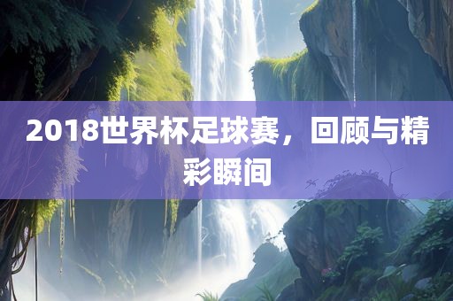 世界杯足球赛 第6页