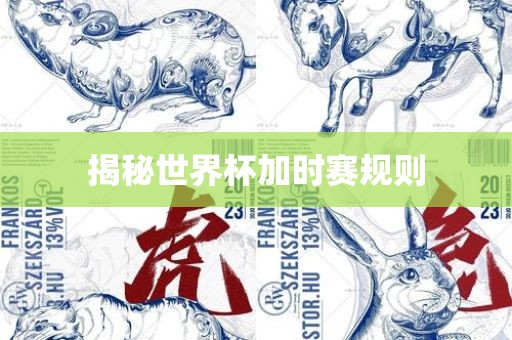 揭秘世界杯加沧州禾苗留学中介服务有限公司时赛规则