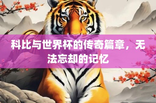 世界杯传奇篇章