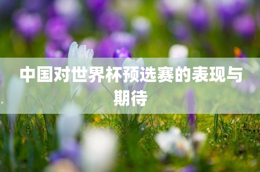 中国对世界杯预选赛的表沧州禾苗留学中介服务有限公司现与期待