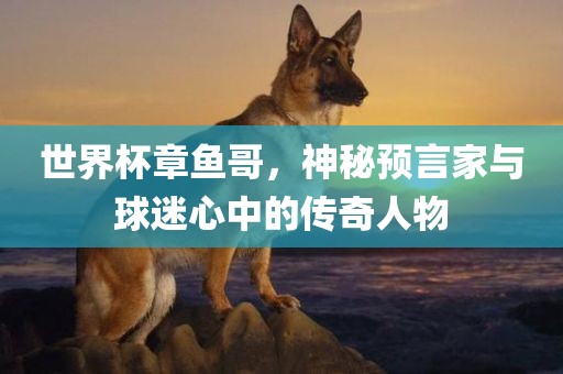 世界杯章鱼哥，神秘预言家与球迷心中的传奇人物