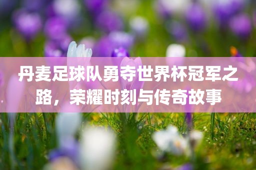 丹麦足球队勇夺世界杯冠军之路，荣耀时刻与传奇故事沧州禾苗留学中介服务有限公司