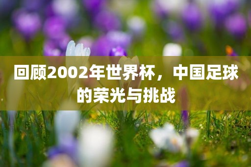 回顾2002年世界杯，中国足球的荣光与挑战
