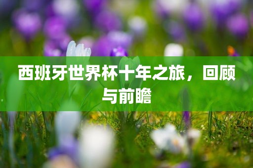 西班牙世界杯十年之旅，回顾与前瞻