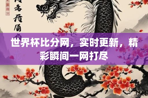 世界杯比分网，实时更新，精彩瞬间一网打尽