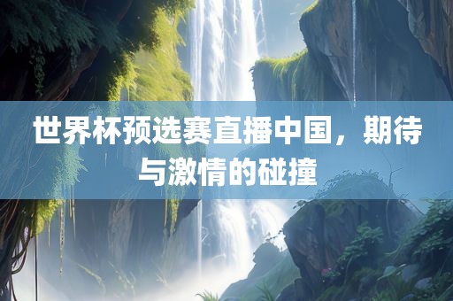 世界杯预选赛直播中国，期待与激情的碰撞