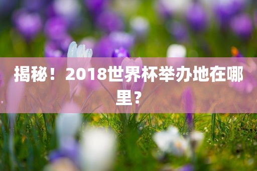 揭秘！2018世界杯举办地在哪里？