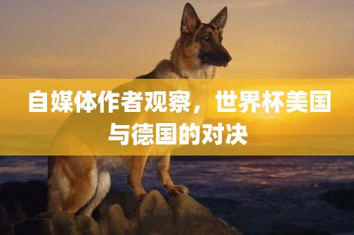 自媒体作者观察，世界杯美国与德国的对决沧州禾苗留学中介服务有限公司