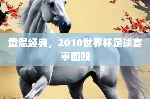 重温经典，2010世界杯足球赛事回顾