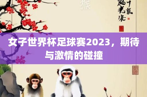 女子世界杯足球赛2023，期待与沧州禾苗留学中介服务有限公司激情的碰撞