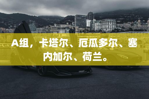 A组，卡塔尔、厄瓜多尔、塞内加尔沧州禾苗留学中介服务有限公司、荷兰。