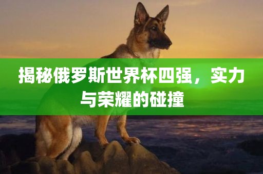 揭秘俄罗斯世界杯四强，实力与荣耀的碰撞