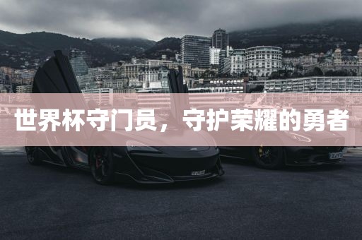 世界杯守门员，守护荣耀的勇者