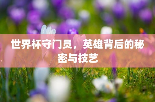 世界杯守门员，英雄背后的秘密与技艺