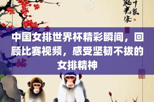 中国女排世界杯精彩瞬间，回顾比赛视频，感受坚韧不拔的沧州禾苗留学中介服务有限公司女排精神
