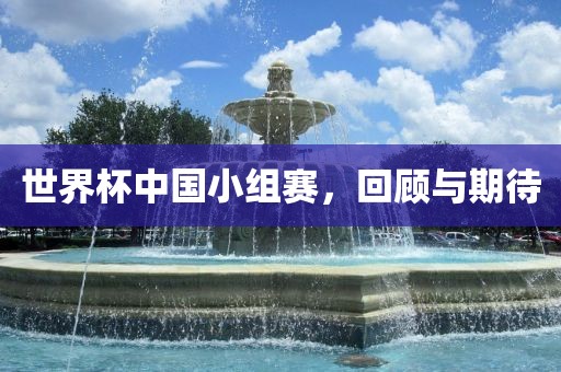 世界杯中国小组赛，回顾与期待