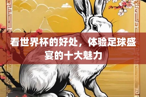 看世界杯的好处，体验足球盛宴的沧州禾苗留学中介服务有限公司十大魅力