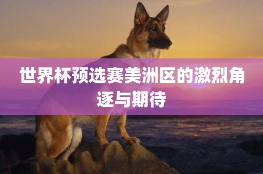 世界杯预选赛美洲区的激烈角逐与期待
